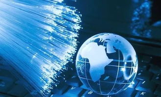 拥抱经贸，信息技术学院邀你共探网络信息技术开发的未来